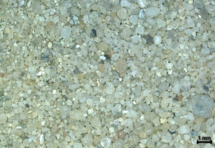 Detail zand uit de Maas