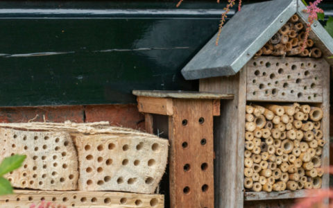 Bijenhotels met verschillende diktes nestelgangen gemaakt van hout, riet of bamboe. Foto: