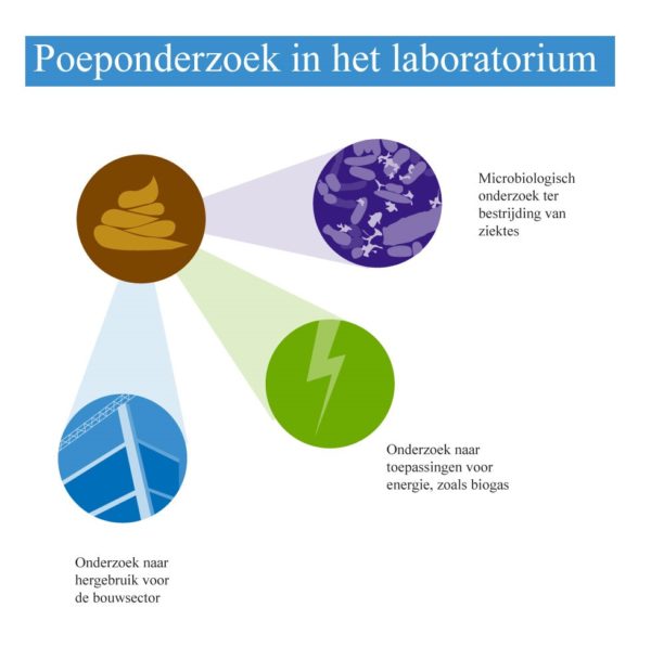Poeponderzoek in het Nederlandse laboratorium
