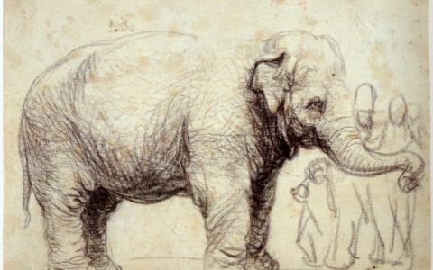 Olifant Hansken Rembrandt