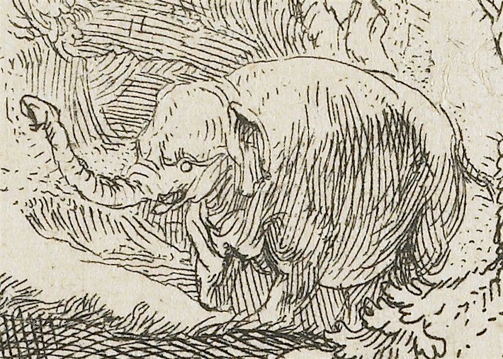 Detail olifant in De Zondeval