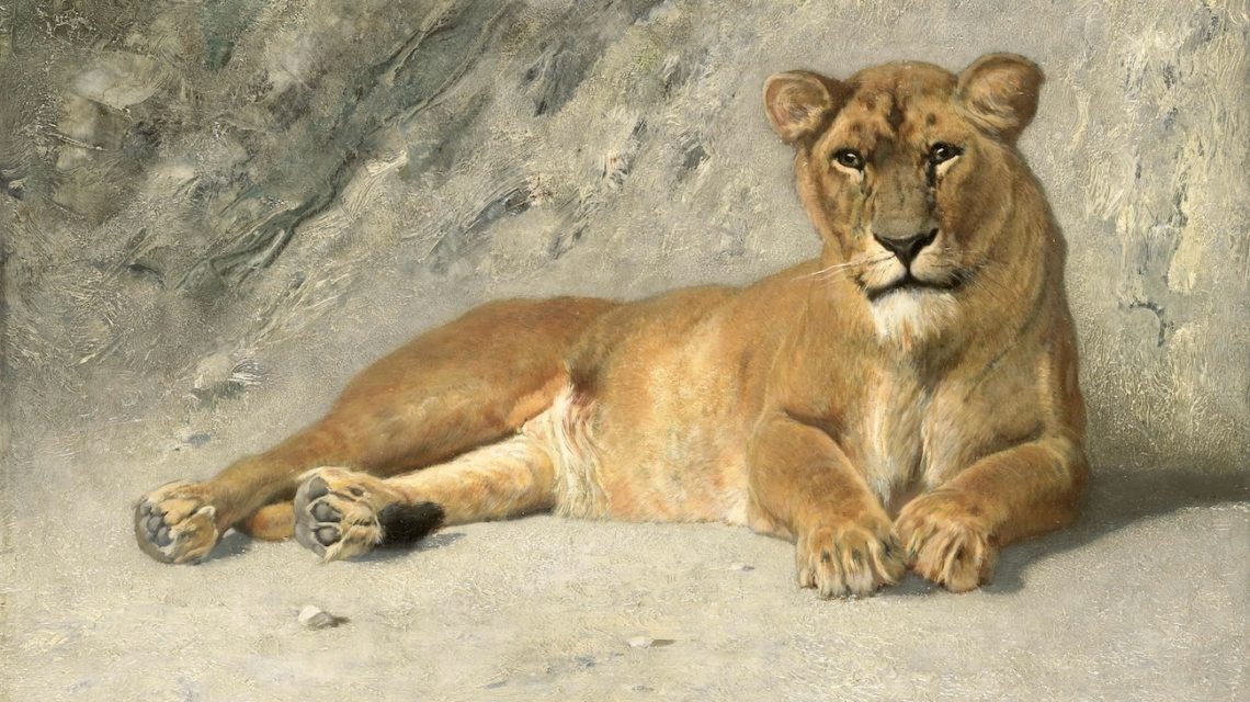 Jan van Essen Rustende leeuwin