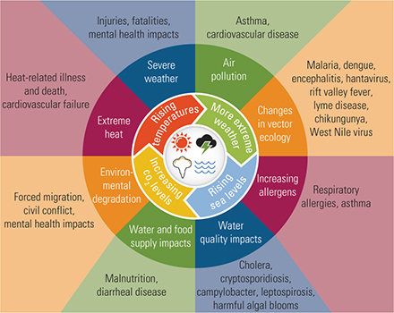 Impacts of Climate Change on Human Health